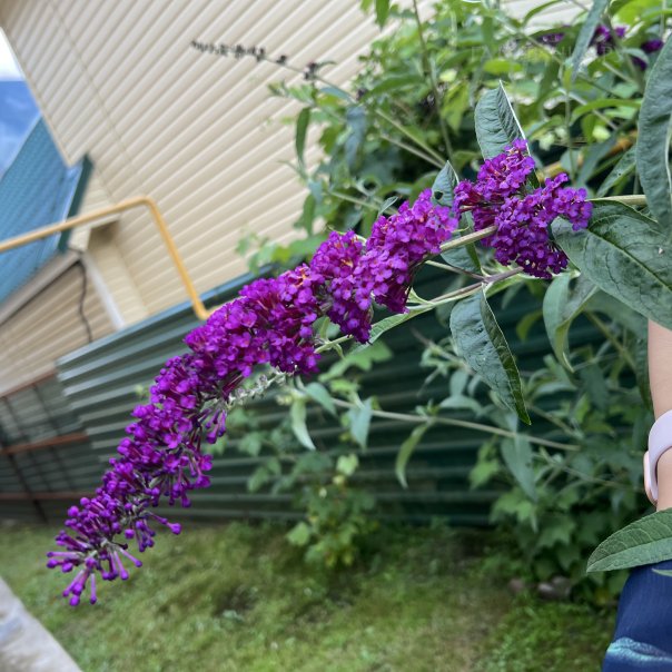 превью изображения отзыва