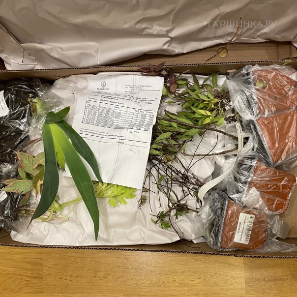 превью изображения отзыва