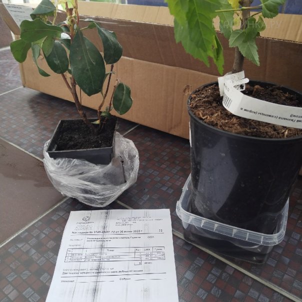 превью изображения отзыва