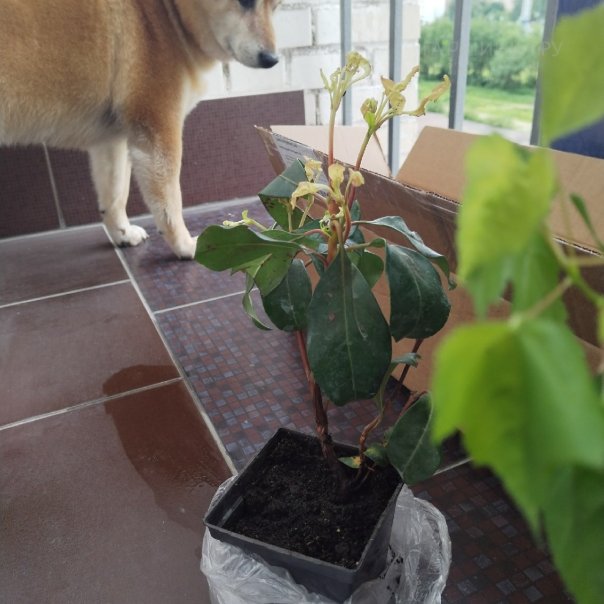 превью изображения отзыва