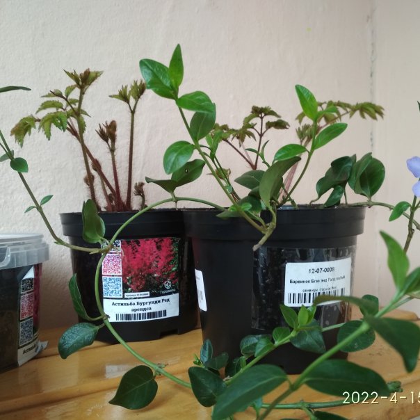 превью изображения отзыва