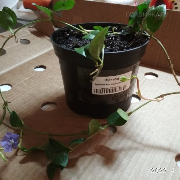 превью изображения отзыва