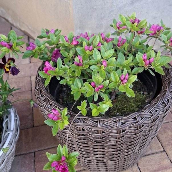 превью изображения отзыва