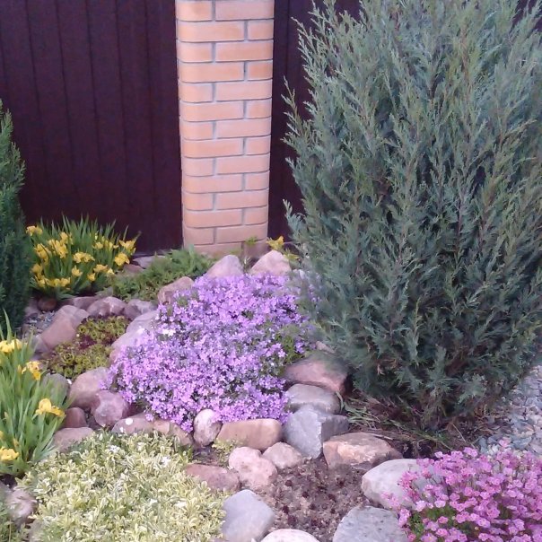 превью изображения отзыва