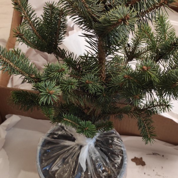 превью изображения отзыва