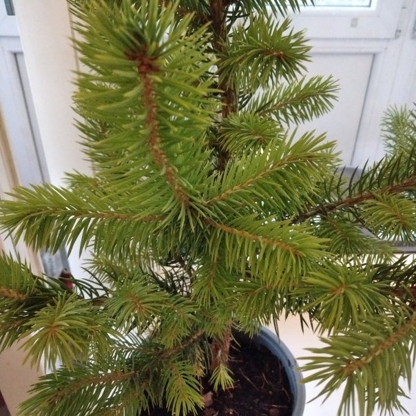 превью изображения отзыва