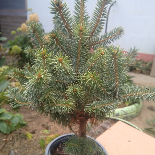 превью изображения отзыва