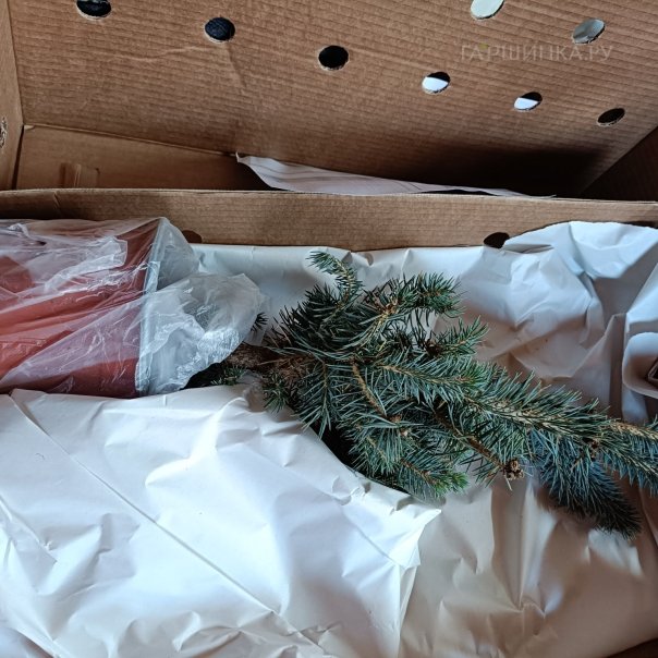 превью изображения отзыва