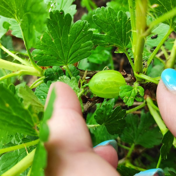 превью изображения отзыва