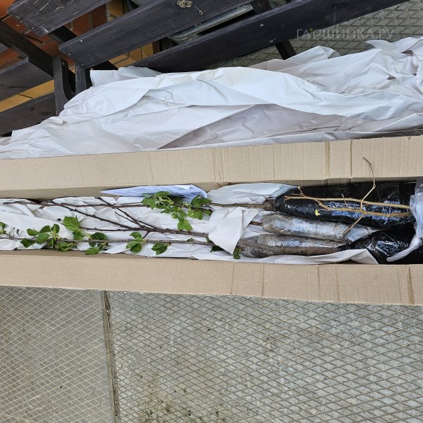 превью изображения отзыва