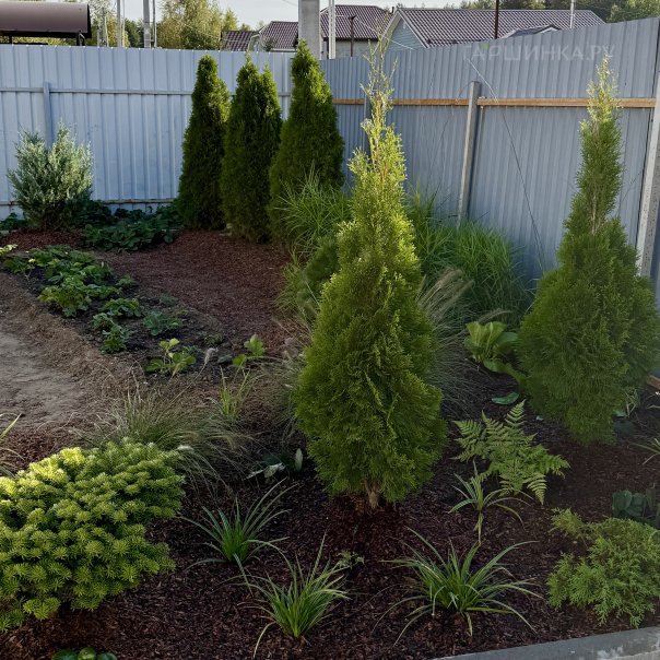 превью изображения отзыва