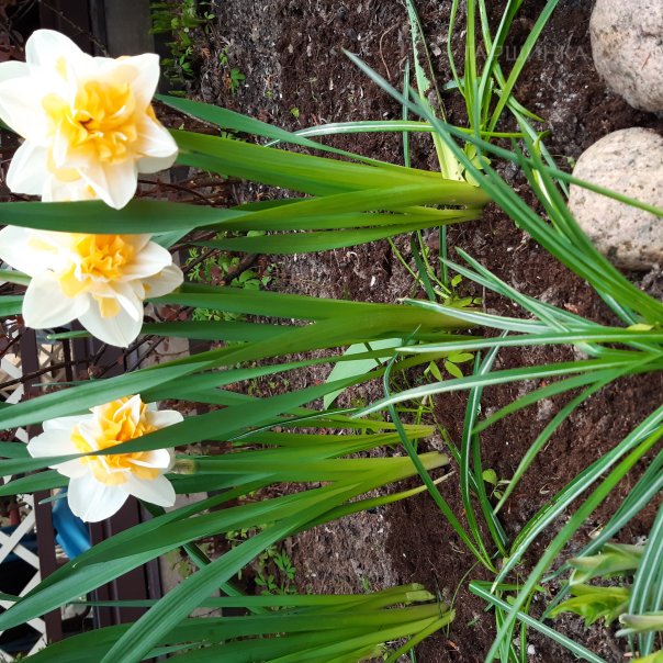 превью изображения отзыва