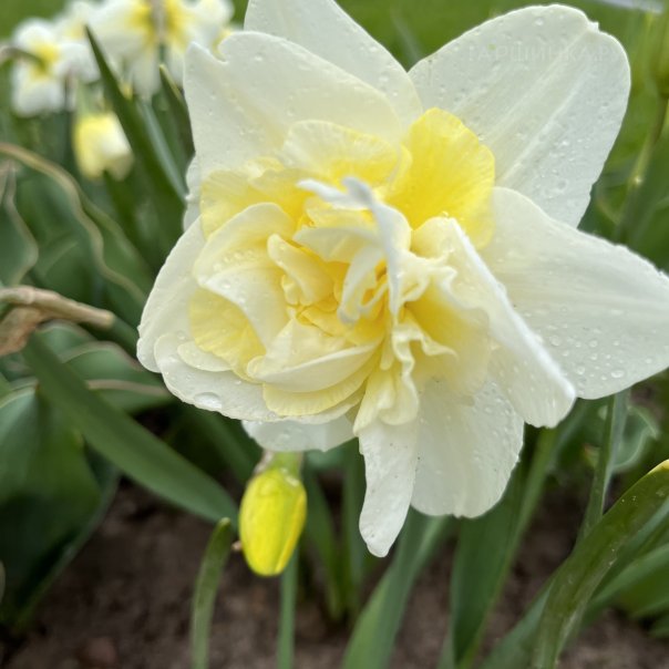 превью изображения отзыва