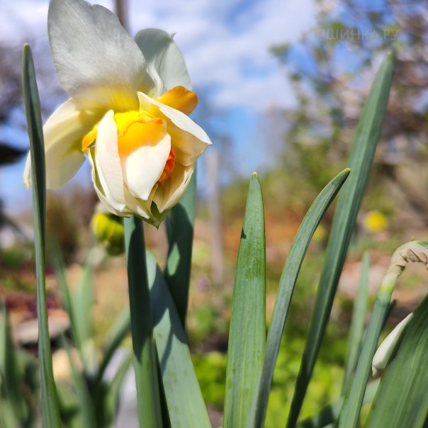 превью изображения отзыва