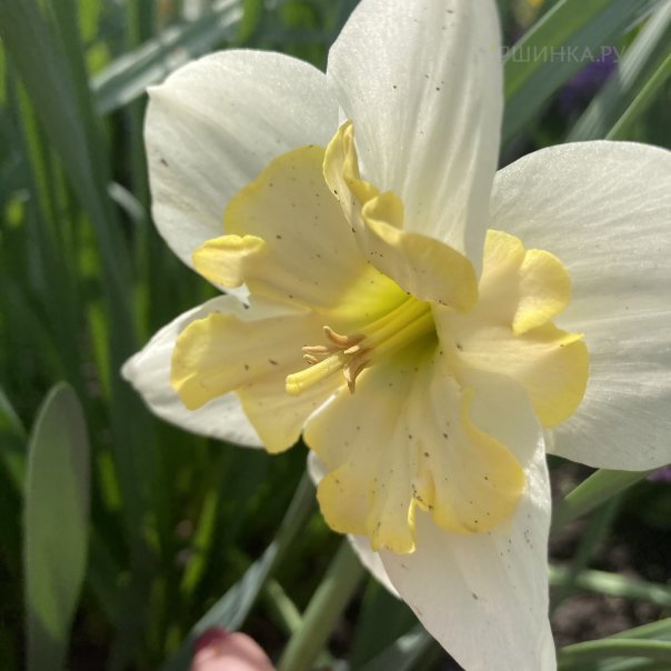 превью изображения отзыва