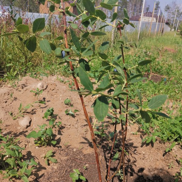 превью изображения отзыва