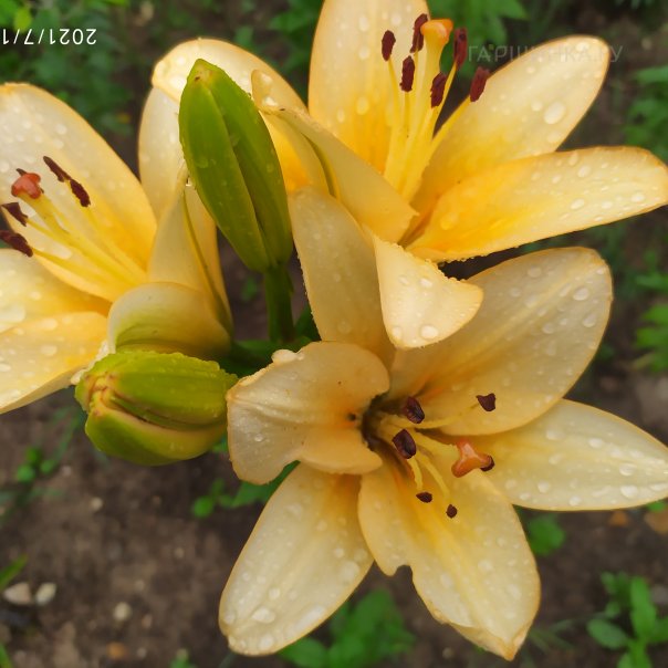 превью изображения отзыва