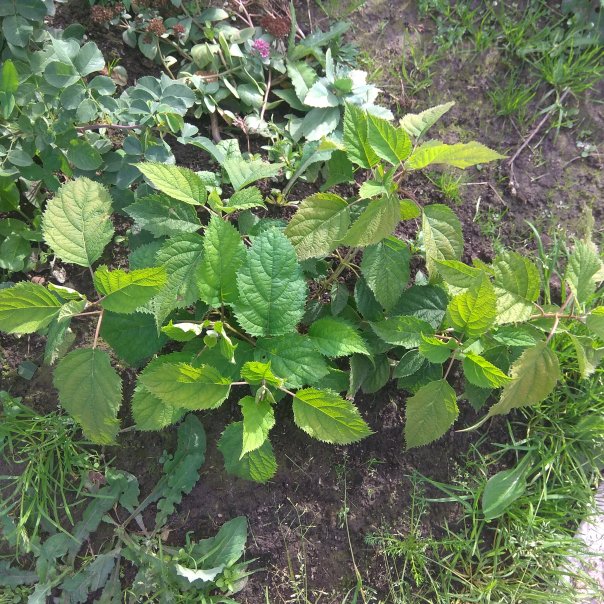 превью изображения отзыва