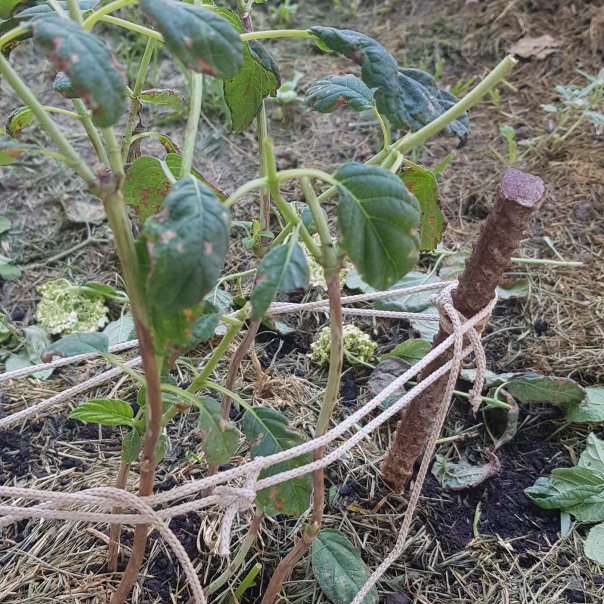 превью изображения отзыва