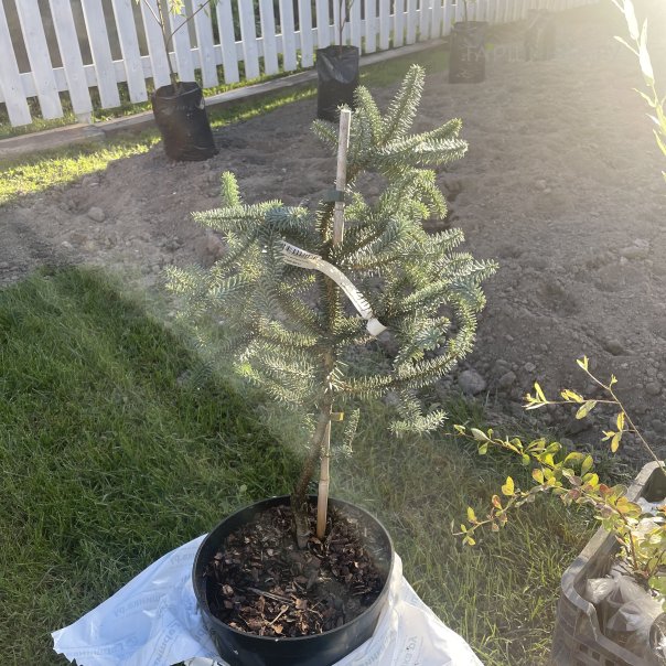 превью изображения отзыва