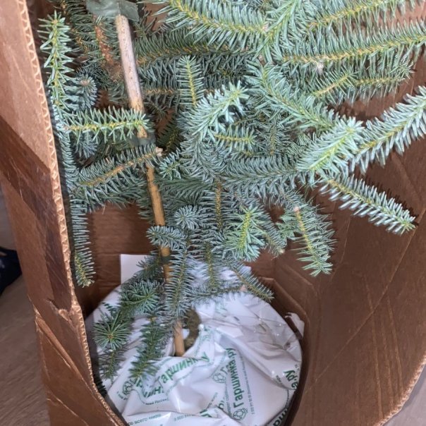 превью изображения отзыва