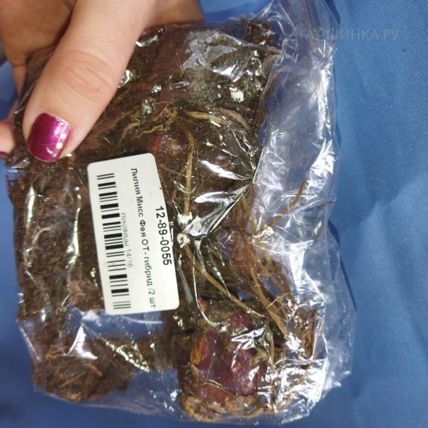 превью изображения отзыва