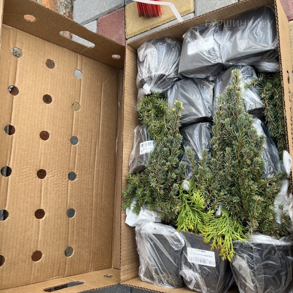 превью изображения отзыва