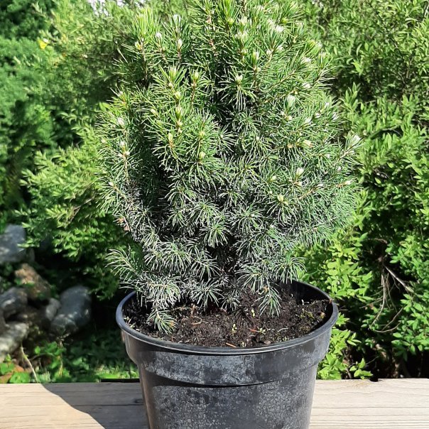 превью изображения отзыва