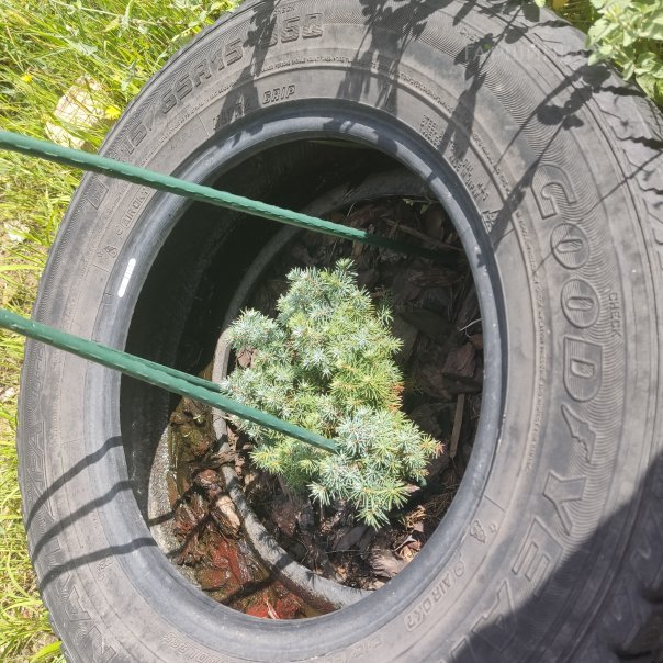 превью изображения отзыва