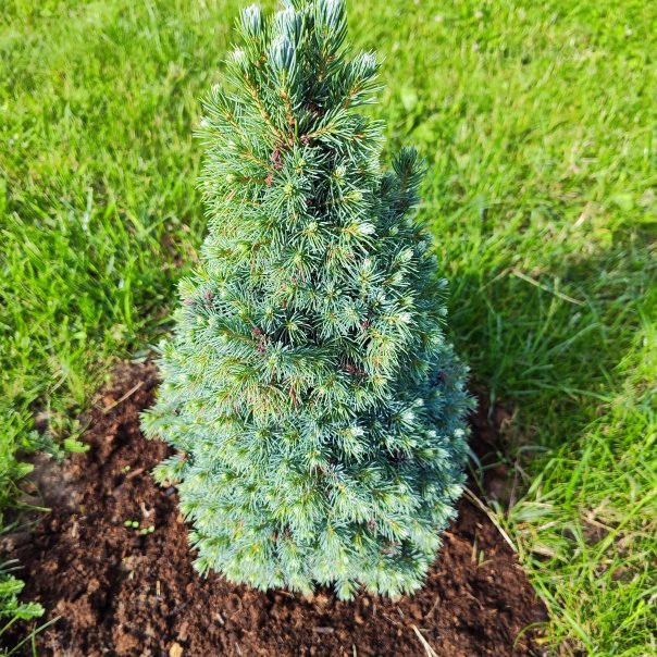 превью изображения отзыва