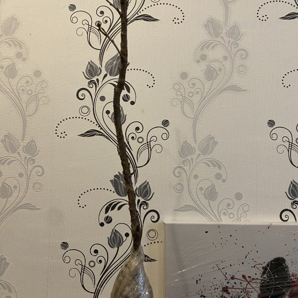 превью изображения отзыва