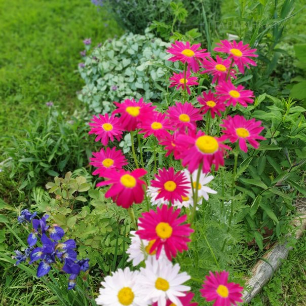 превью изображения отзыва