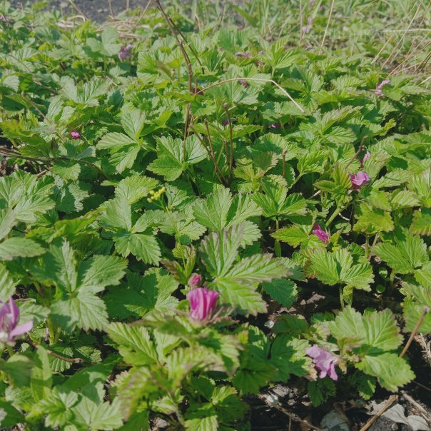 превью изображения отзыва