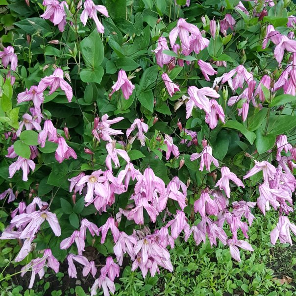 превью изображения отзыва