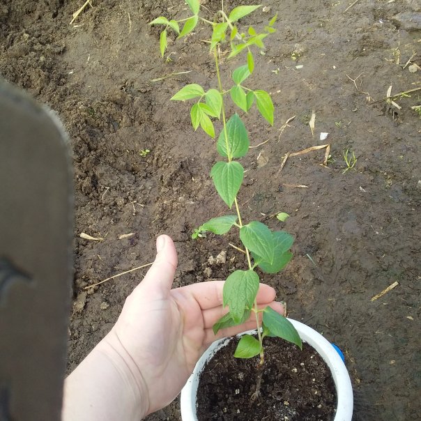 превью изображения отзыва