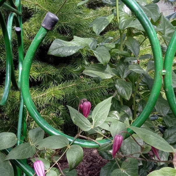 превью изображения отзыва