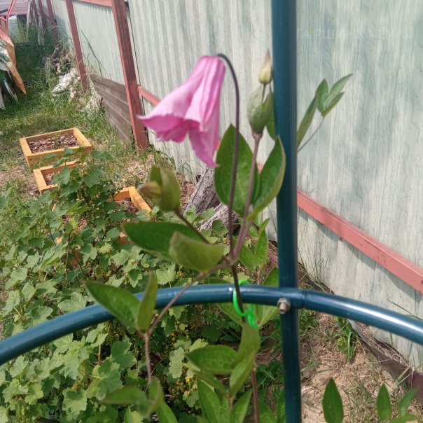 превью изображения отзыва