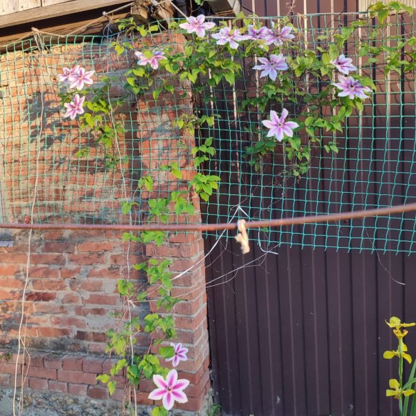 превью изображения отзыва