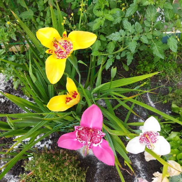 превью изображения отзыва