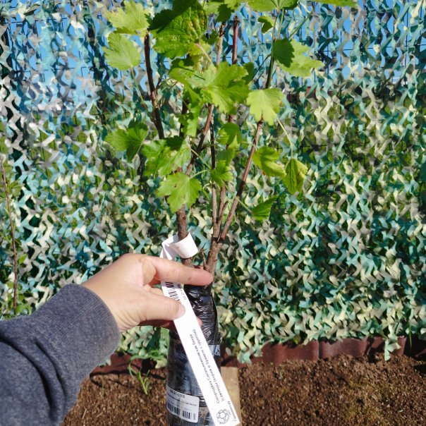 превью изображения отзыва