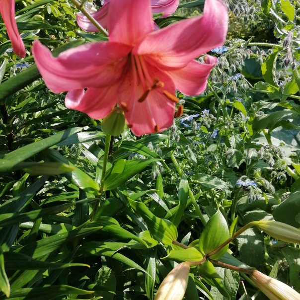 превью изображения отзыва