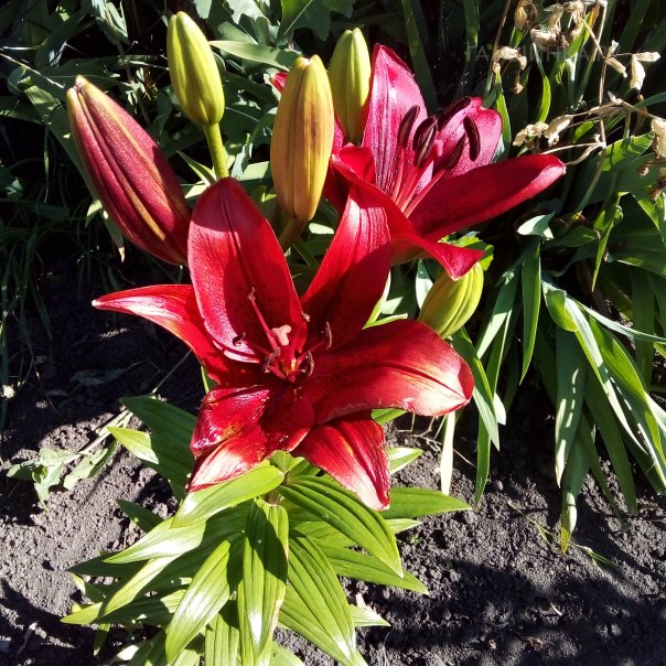 превью изображения отзыва