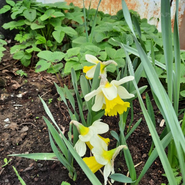 превью изображения отзыва