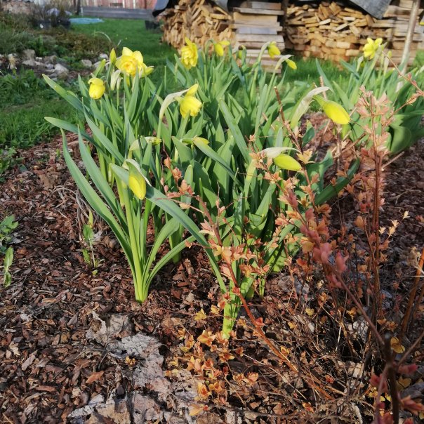 превью изображения отзыва