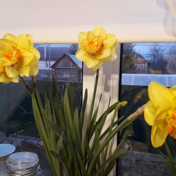 превью изображения отзыва