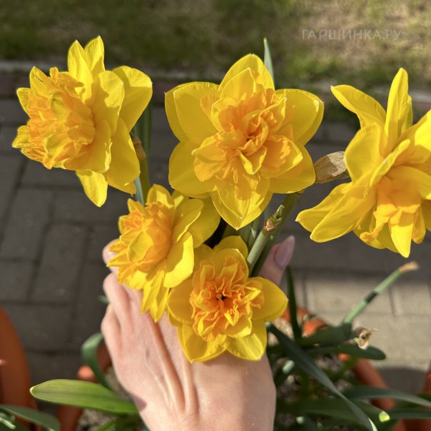 превью изображения отзыва