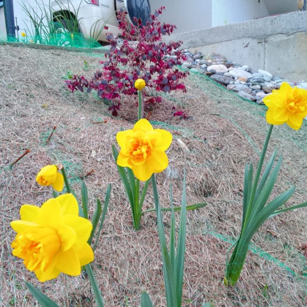 превью изображения отзыва