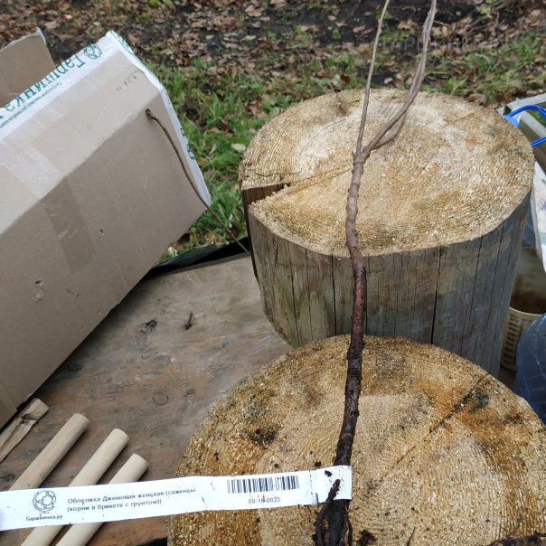 превью изображения отзыва