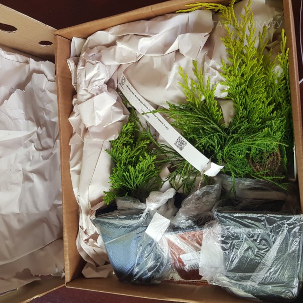 превью изображения отзыва