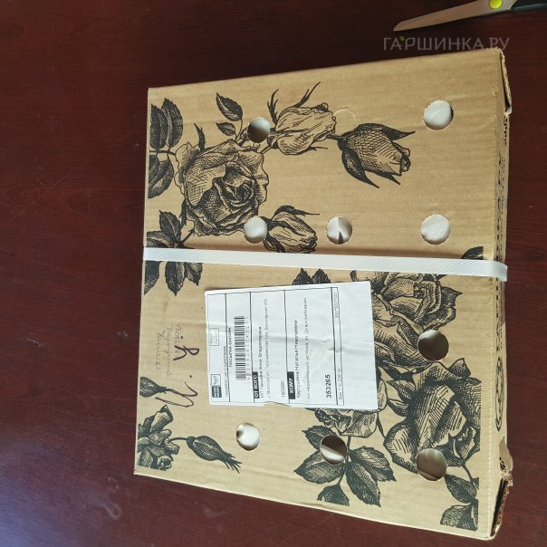 превью изображения отзыва